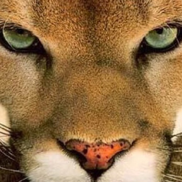 Meet your Posher, Lisa - Picture 1 of 1